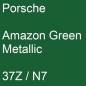 Preview: Porsche, Amazon Green Metallic, 37Z / N7.